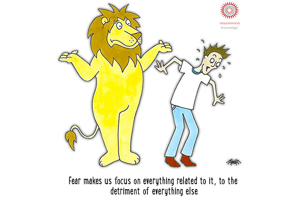 Fear Makes Us Focus On Everything Cartoon