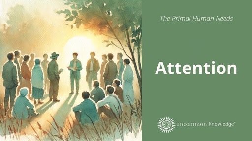 The Primal Human Needs - Attention