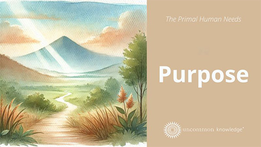 The Primal Human Needs - Purpose