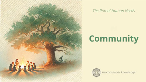 The Primal Human Needs - Community