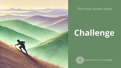 The Primal Human Needs - Challenge