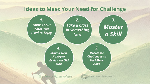 Ideas to meet your need for challenge and creativity