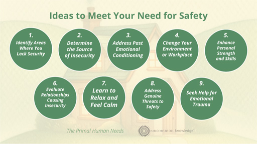 Ideas to meet your need for safety and security