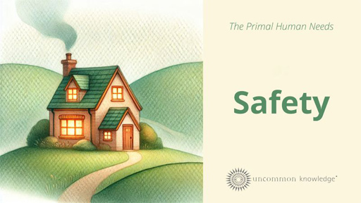 The Primal Human Needs - Safety