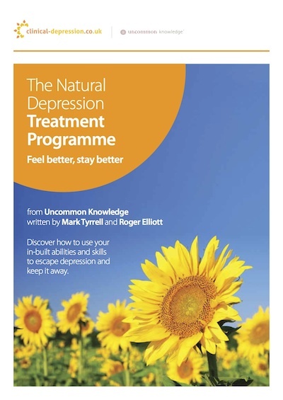 The Natural Depression Treatment Program eBook Cover