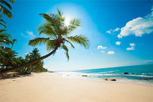 Beach Relaxation