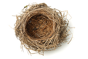 Empty Nest Syndrome