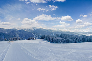 Alpine Ski Run