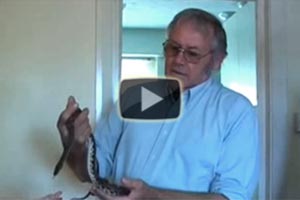 Snake phobia cure video